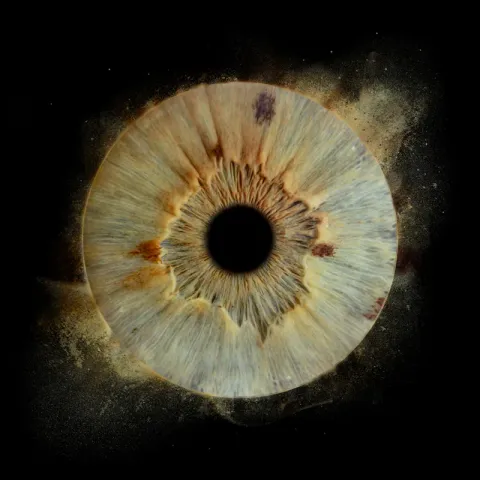 Œuvre d'art iris sur fond étoilé