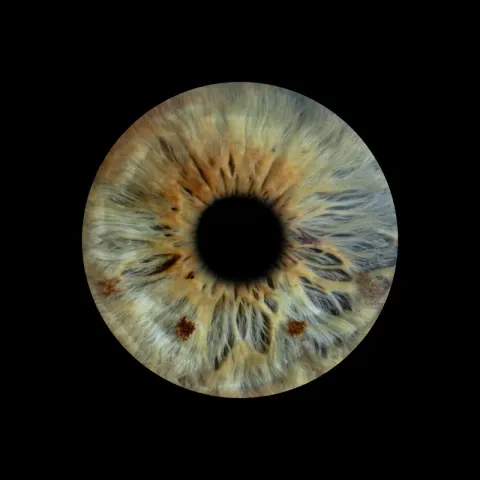 Photographie macro HD d’un iris