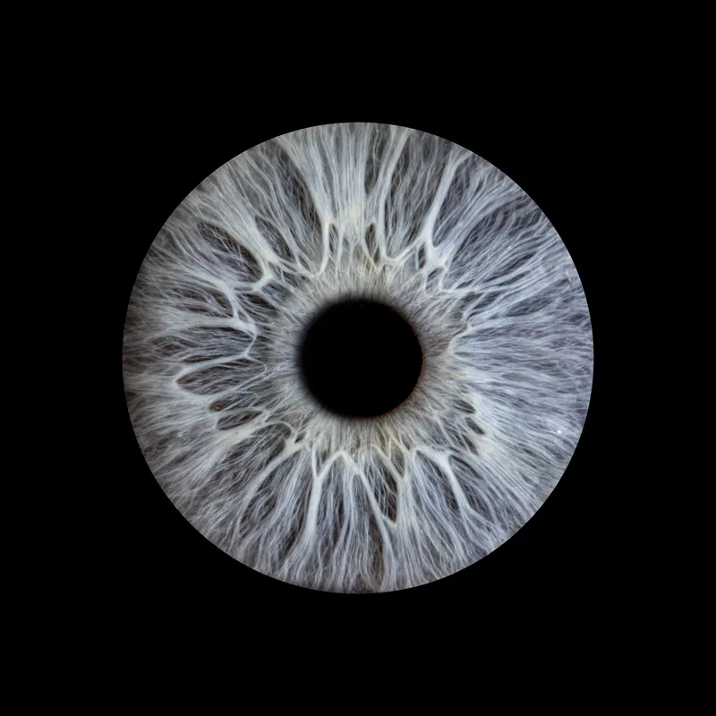 Photo d'iris artistique #2