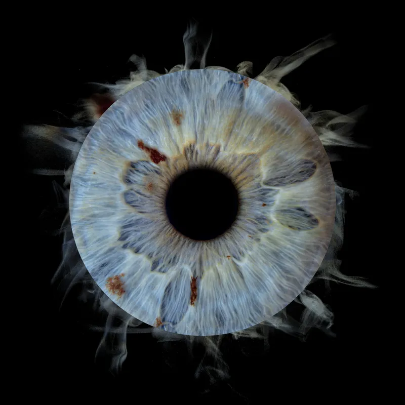 Photo d'iris artistique #3